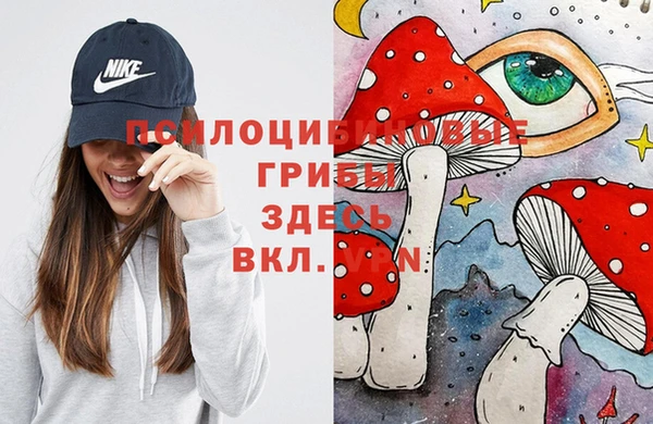синтетический гашиш Елабуга