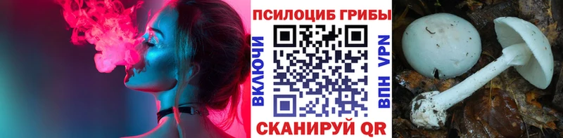 Галлюциногенные грибы ЛСД  цены наркотик  Касли 