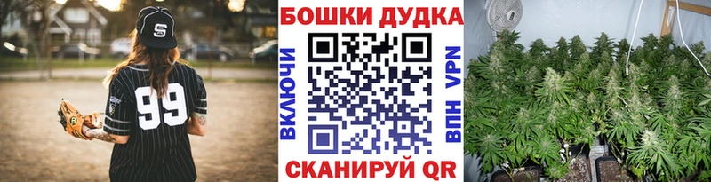 Шишки марихуана планчик  Касли 